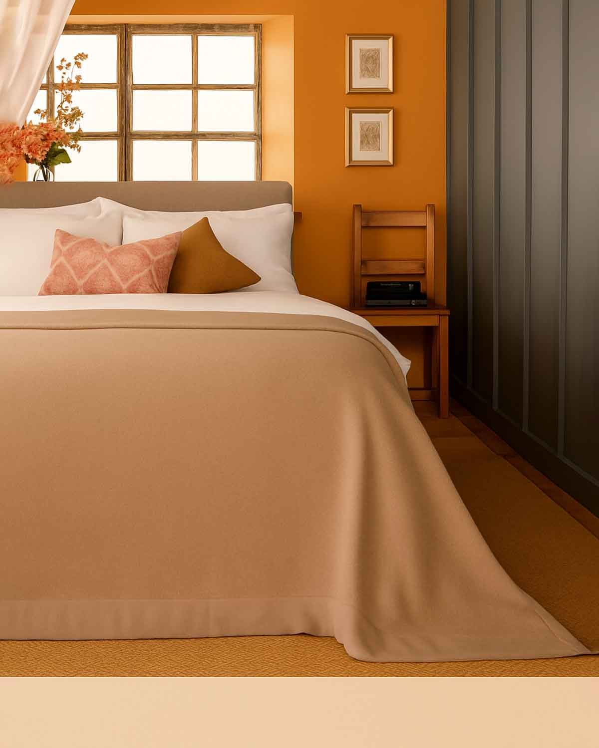 Pure Wool Satin Bound Blankets - Champagne - Country Collection