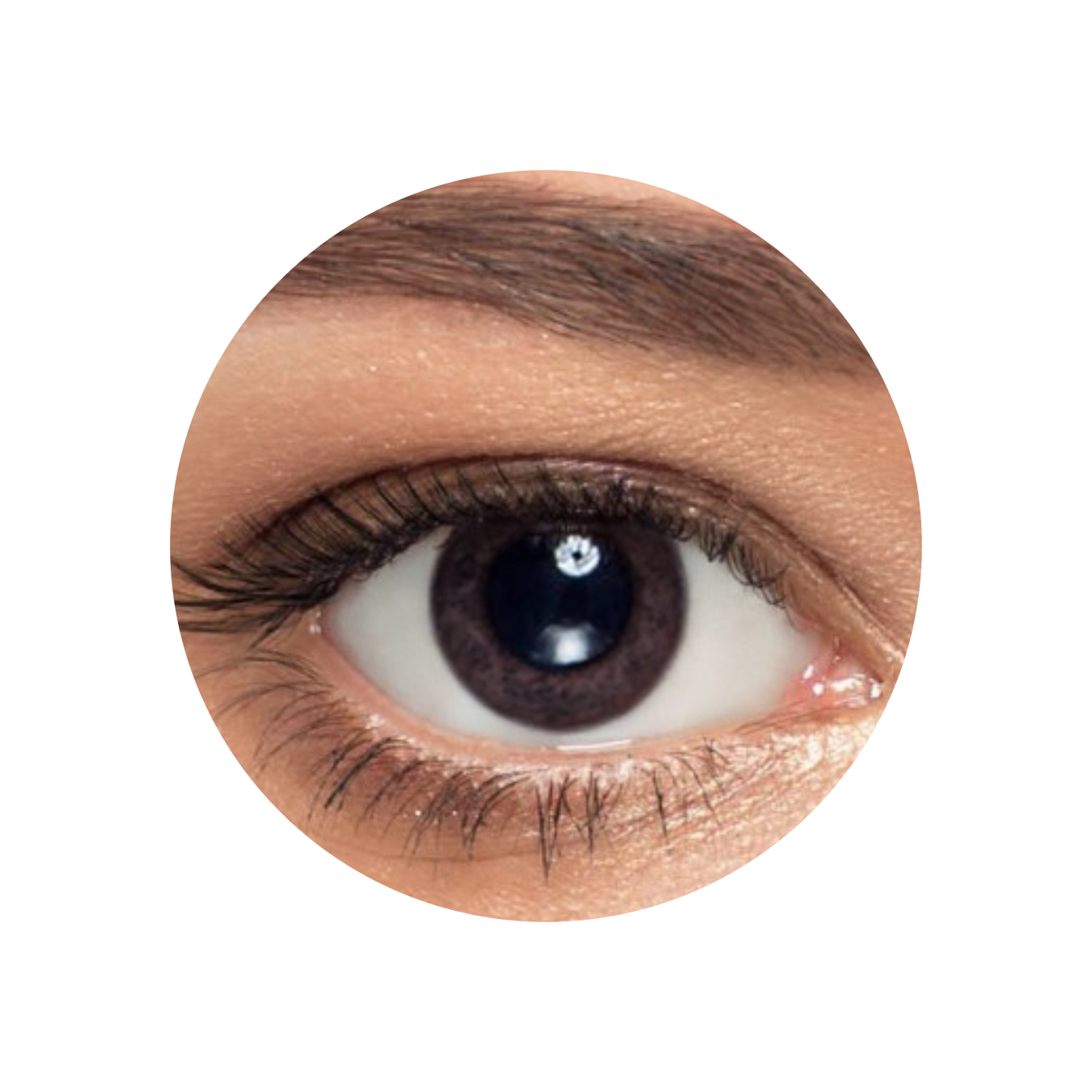 Hero banner image