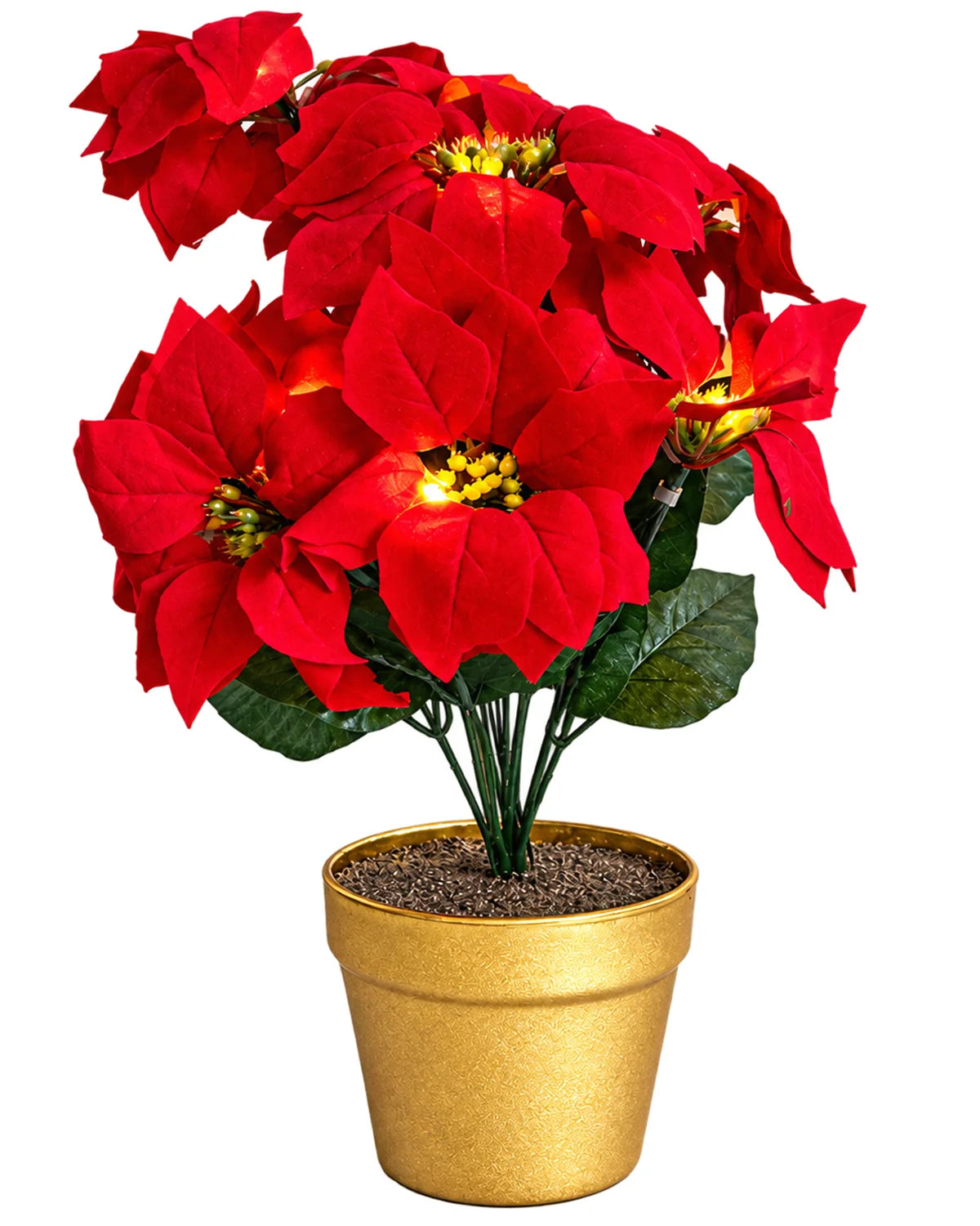 LED Poinsettia Plant with 10 Warm White Lights – Gold Pot