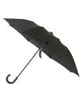 Ziggy Crook-Handle Black Small Folding Umbrella