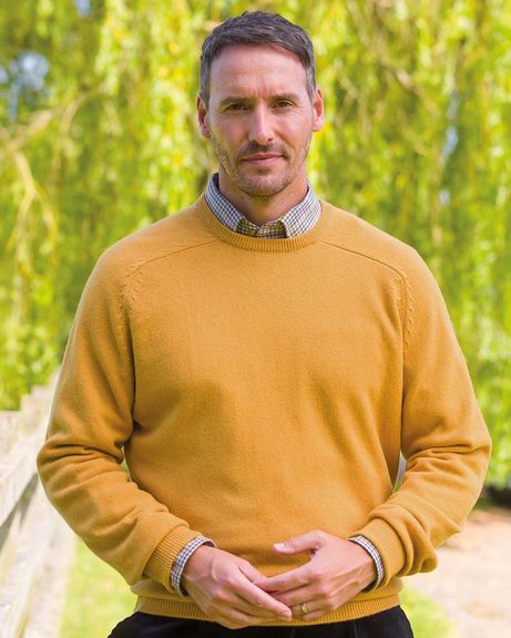 Mens Lambswool Crew Neck Mustard Sweater