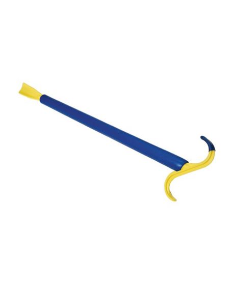 Shoe Horn and Dressing Aid