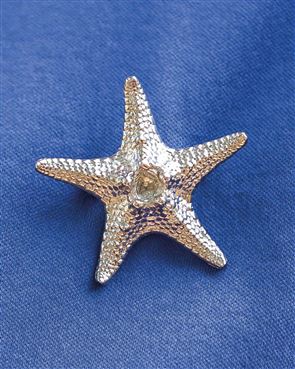 Starfish Pewter Brooch